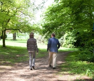 Spoedcursus Spoedcursus in oase van stilte en comfort